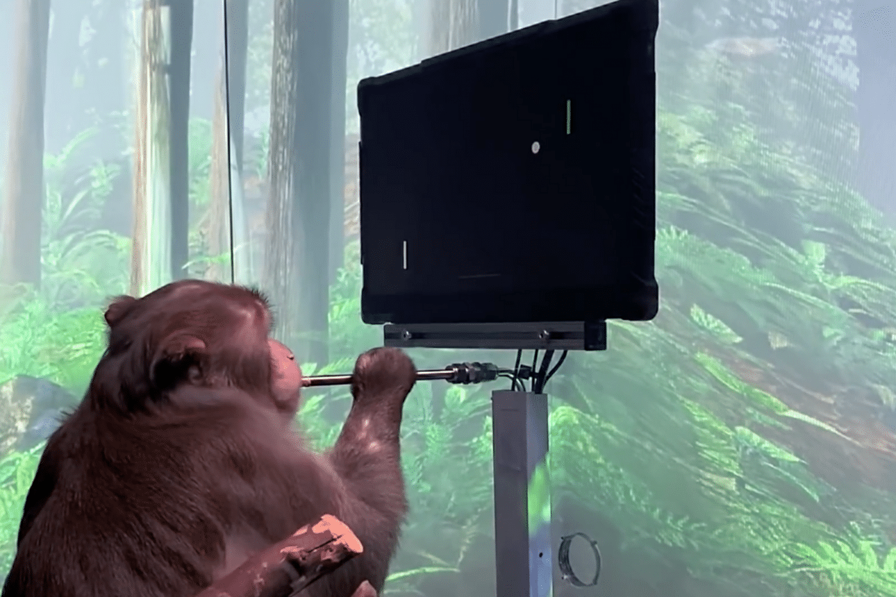 Elon Musk’s implant firm teaches monkey to play Pong with its mind