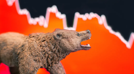 Fintech Growth Potential in Bear Market Conditions