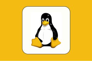 AWS Launches New Linux Distribution
