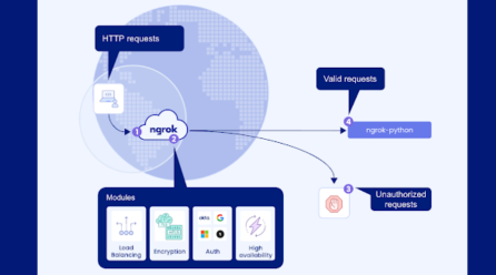 Platform ingress ngrok Introducing the Python SDK