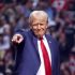 President-Donal-Trump-IP Law